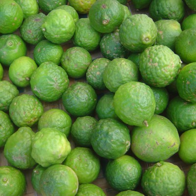 Kafir Lime